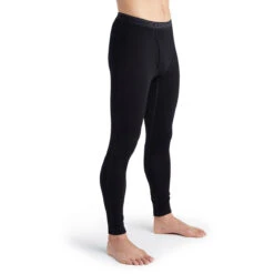 Icebreaker Men's Merino 260 Tech Thermal Leggings With Fly