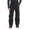 The North Face Men's Seymore Pant -Outdoor Clothing Sale NF0A5ABW JK3 hero