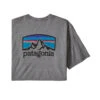 Patagonia Men's Fitz Roy Horizons Responsibili-Tee -Outdoor Clothing Sale WBS20 38501 GLH